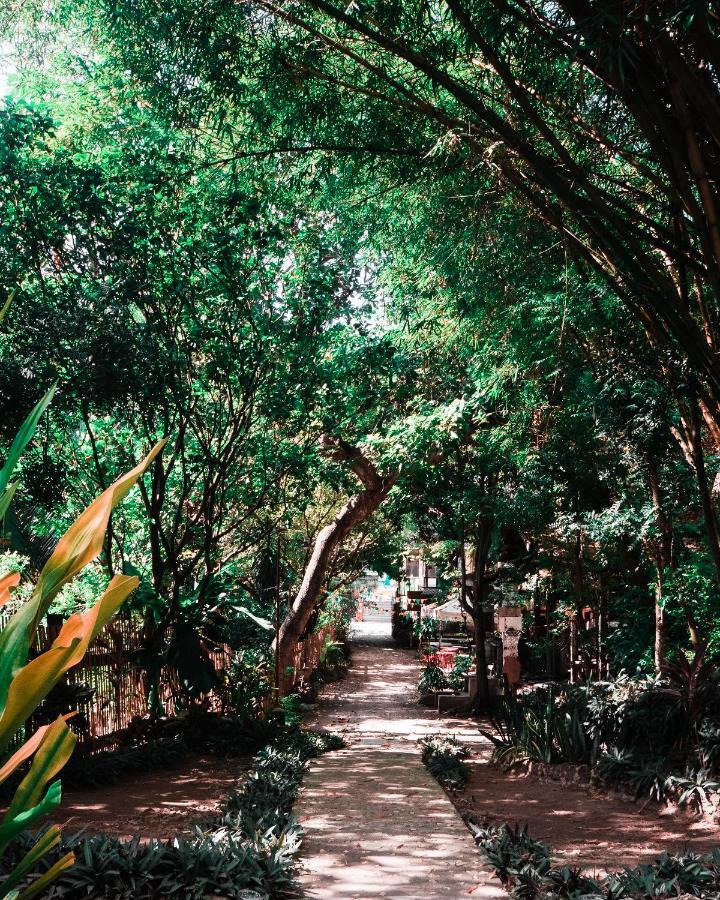 Oasis Balili Heritage Hostel *